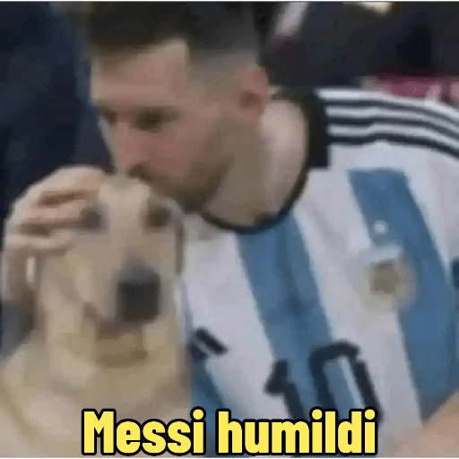 Meszi: que mira bobo 5