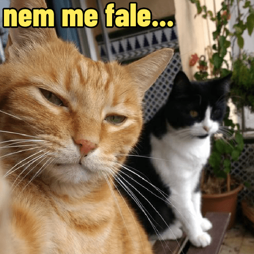 Reactions: sexta/sextou 5