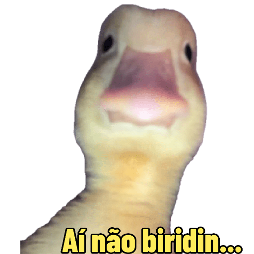 A Bicharada: tá solta 11