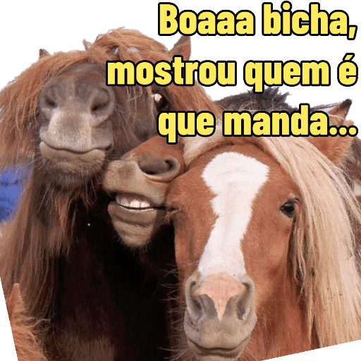 A Bicharada: tá solta 9