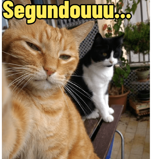 A Bicharada: tá solta 8