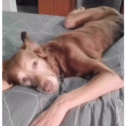 Negativou toda  28