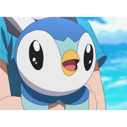 Piplupnk 23