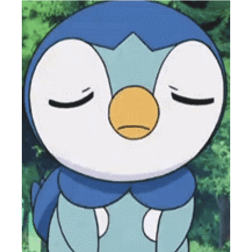 Piplupnk 13