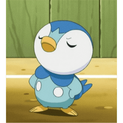 Piplupnk 7