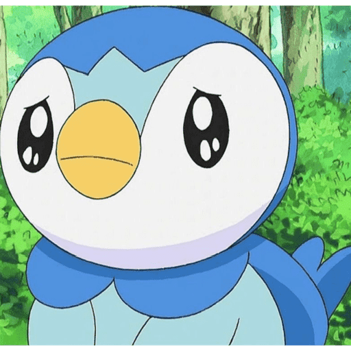 Piplupnk 12
