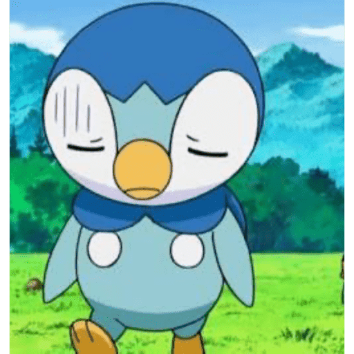 Piplupnk 17