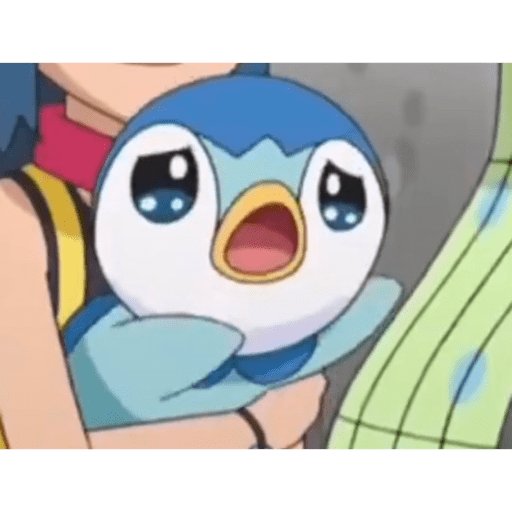 Piplupnk 28