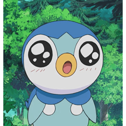 Piplupnk 6