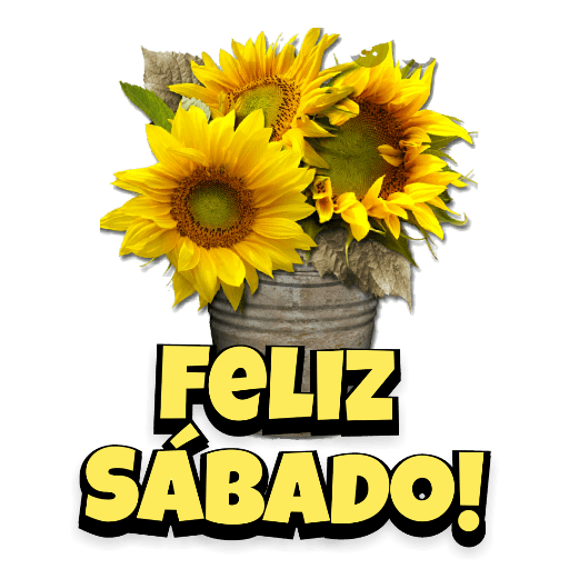 Sábado 3