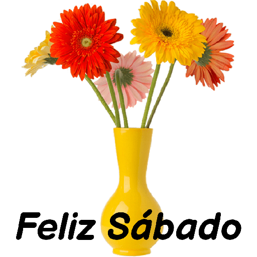 Sábado 8