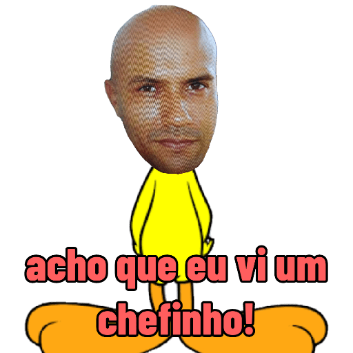 Minhas figurinhas 19