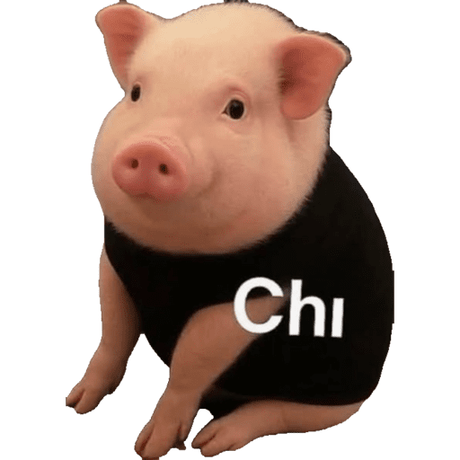 CDA 8