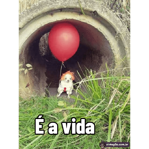 Figurinhas Aleatórias 14