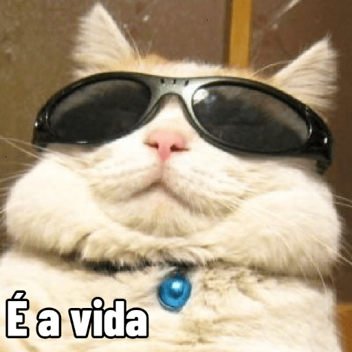 Figurinhas Aleatórias 8