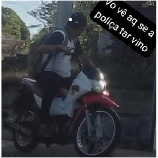 Teu pai 6