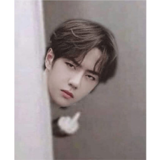 Yibo 24