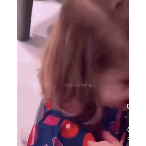 Floflo e Mariazinha 2 11