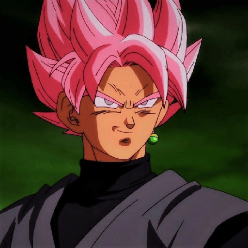 Goku black 13
