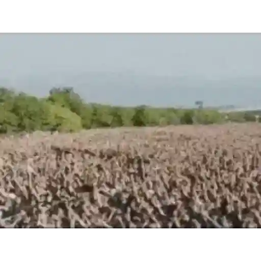 Metal 4