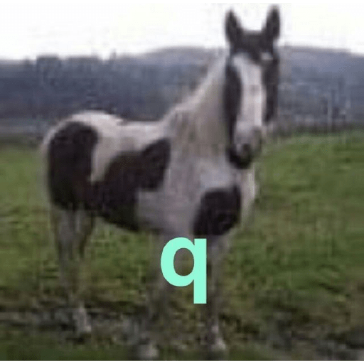 🤜🏻 Shitpost 🤓 5