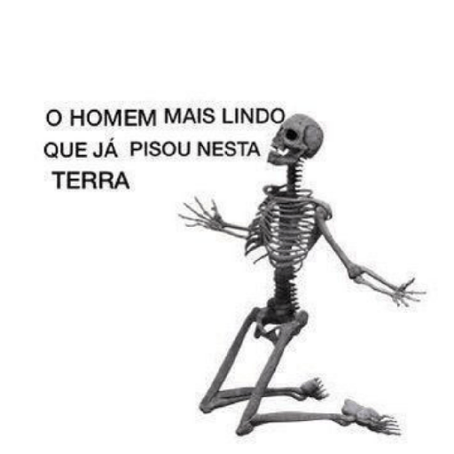 🤜🏻 Shitpost 🤓 24