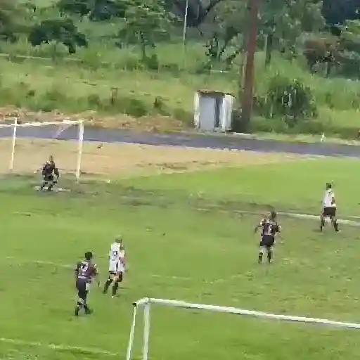 Pura cremita 20