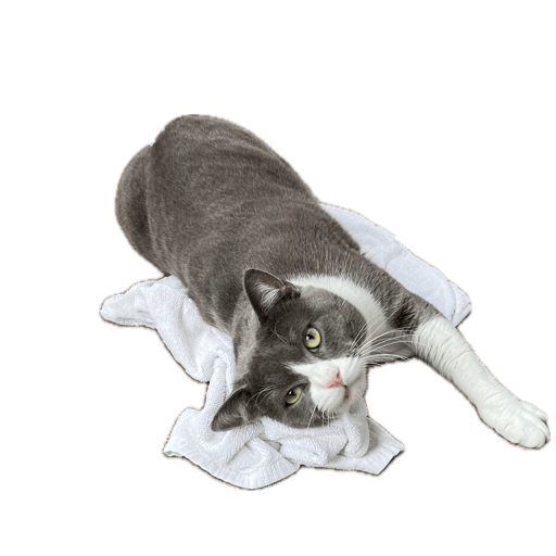 My stickers