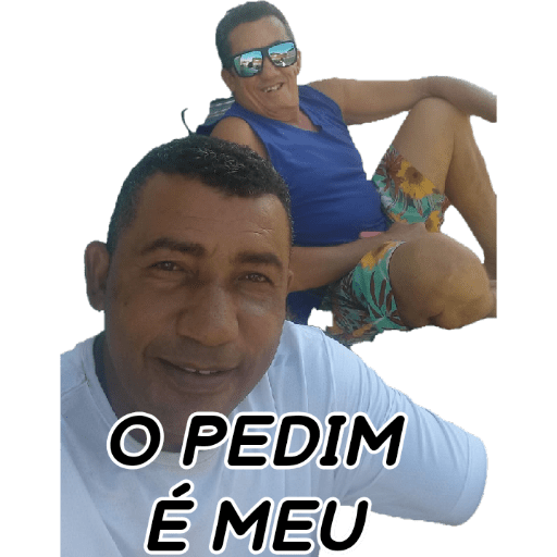 Minhas figurinhas 12