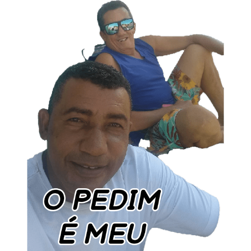 Minhas figurinhas 13