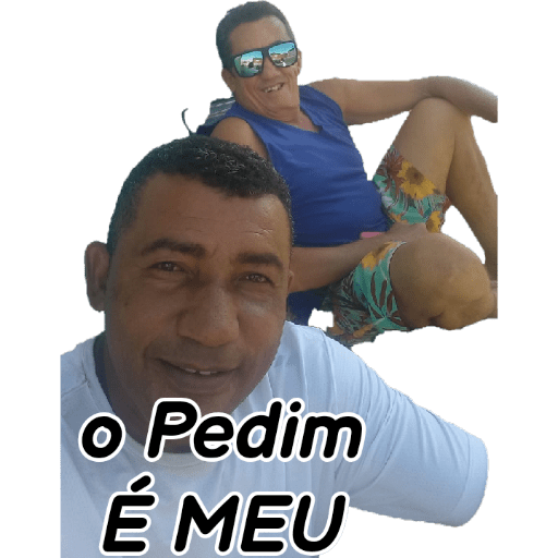 Minhas figurinhas 14