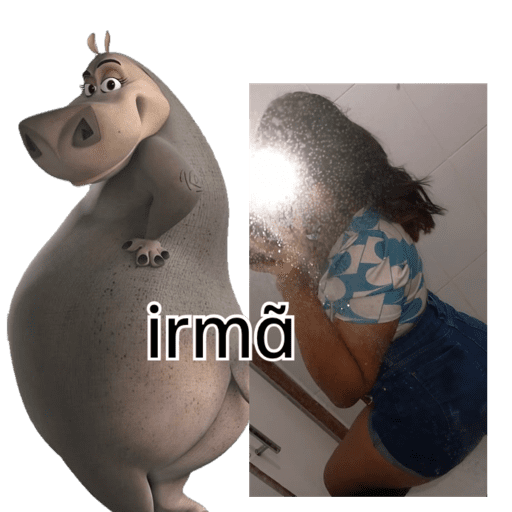 Minhas figurinhas 14