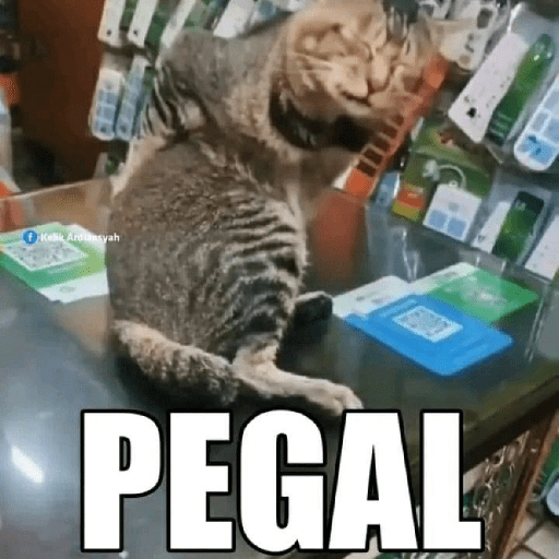Sticker Image