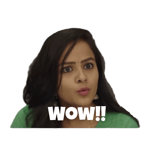 The Software Developer Telugu