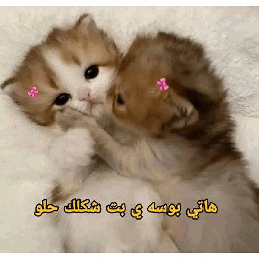 My stickers 4