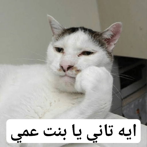 My stickers 22