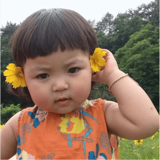 Koreanita  20