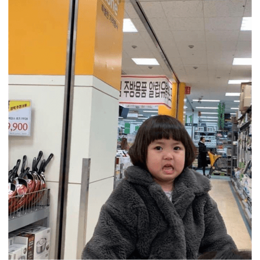 Koreanita  13