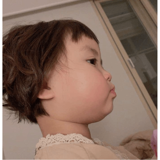 Koreanita  30