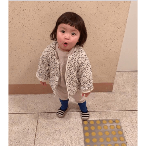 Koreanita  14