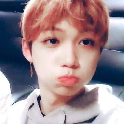 Stray kids 5 star ٭٭٭٭٭ 6
