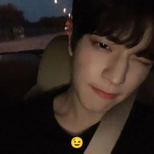 Stray kids 5 star ٭٭٭٭٭ 10