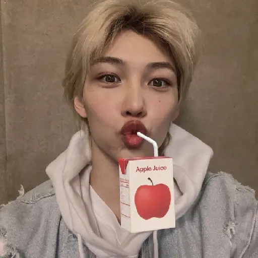 Stray kids 5 star ٭٭٭٭٭ 16