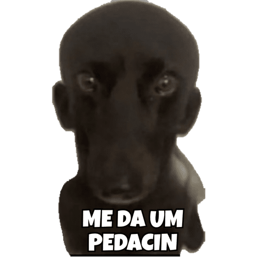 Minhas figurinhas