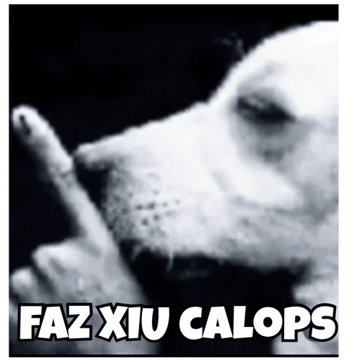 Minhas figurinhas 2