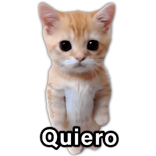 🐱🧶 GATITO 🧶🐱 |Quiero|
