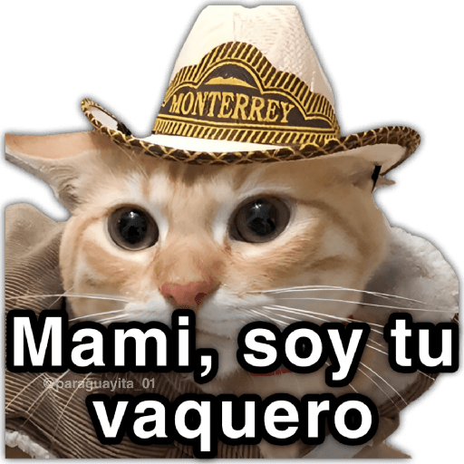 📮MEMES para ti 11📩