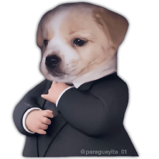 🤵🏻‍♂️🐶 Que elegancia...