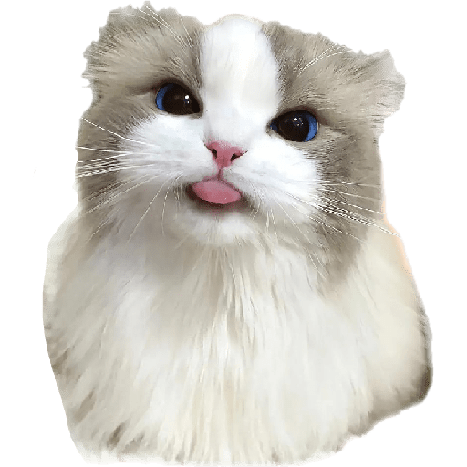 633427134.png