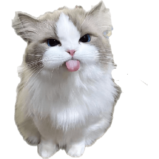 636166968.png